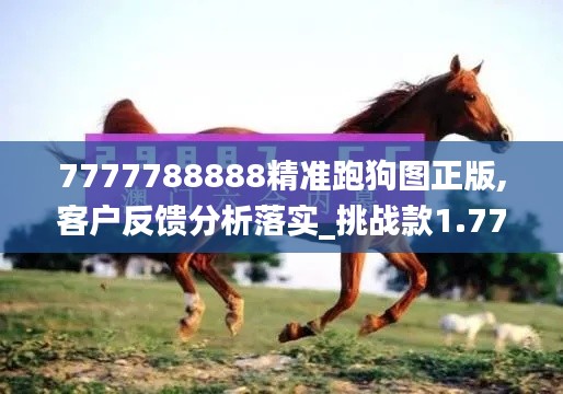 7777788888精準(zhǔn)跑狗圖正版,客戶反饋分析落實(shí)_挑戰(zhàn)款1.773