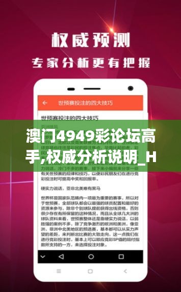 澳門4949彩論壇高手,權(quán)威分析說明_HT7.400
