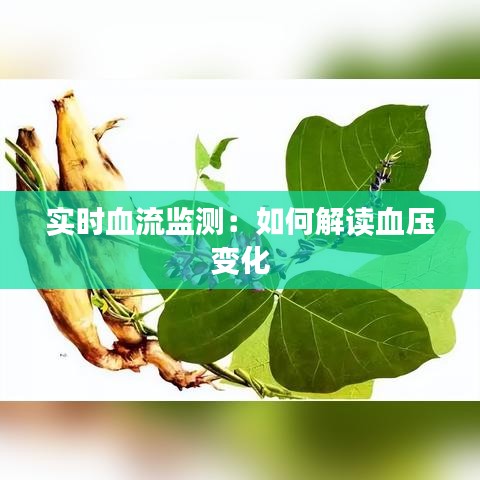 實(shí)時(shí)血流監(jiān)測(cè)：如何解讀血壓變化