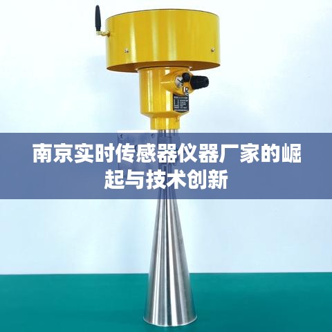 南京實時傳感器儀器廠家的崛起與技術(shù)創(chuàng)新