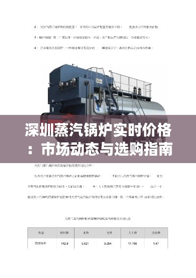 深圳蒸汽鍋爐實(shí)時(shí)價(jià)格：市場動態(tài)與選購指南