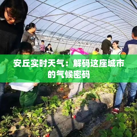 安丘實時天氣：解碼這座城市的氣候密碼