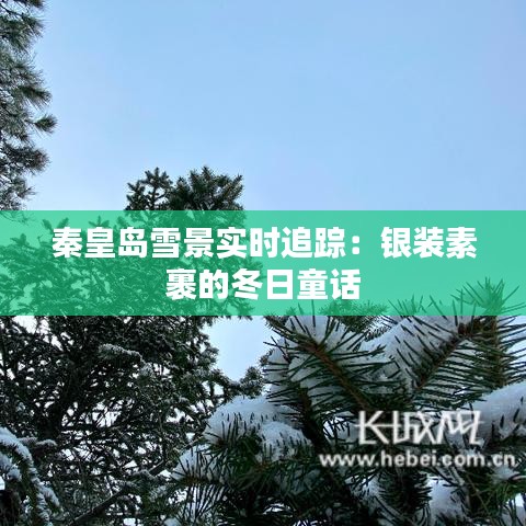 秦皇島雪景實時追蹤：銀裝素裹的冬日童話