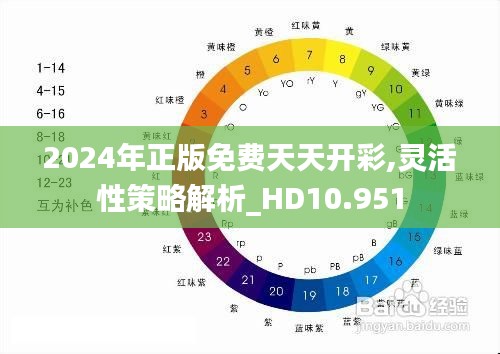 2024年正版免費天天開彩,靈活性策略解析_HD10.951