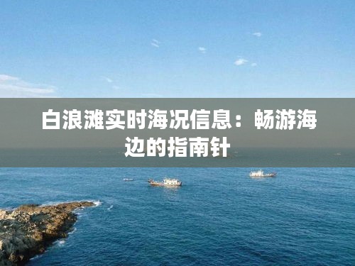 白浪灘實(shí)時(shí)海況信息:暢游海邊的指南針