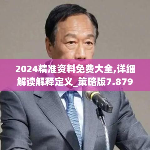 2024精準資料免費大全,詳細解讀解釋定義_策略版7.879