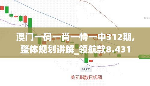 澳門一碼一肖一恃一中312期,整體規(guī)劃講解_領(lǐng)航款8.431