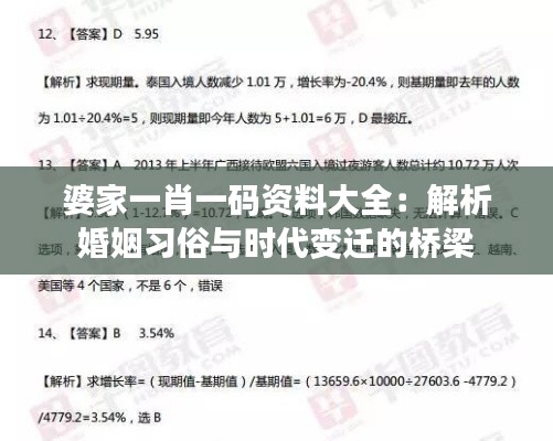 婆家一肖一碼資料大全：解析婚姻習(xí)俗與時代變遷的橋梁