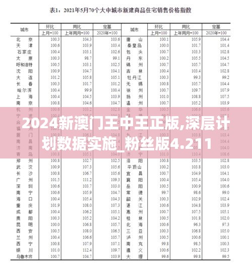 2024新澳門王中王正版,深層計劃數(shù)據(jù)實施_粉絲版4.211