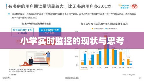 小學(xué)實時監(jiān)控的現(xiàn)狀與思考