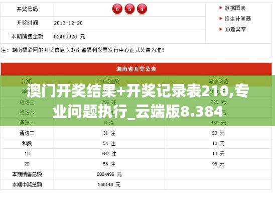 澳門開獎結(jié)果+開獎記錄表210,專業(yè)問題執(zhí)行_云端版8.384