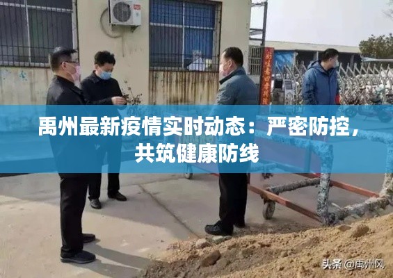 禹州最新疫情實時動態(tài)：嚴密防控，共筑健康防線