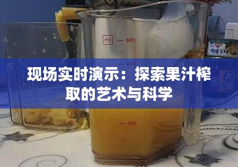 現(xiàn)場實(shí)時演示：探索果汁榨取的藝術(shù)與科學(xué)