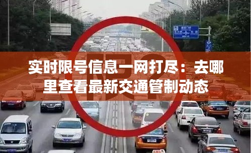 實時限號信息一網(wǎng)打盡：去哪里查看最新交通管制動態(tài)