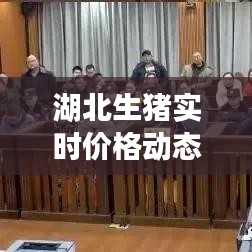 湖北生豬實時價格動態(tài)解析：市場波動與影響因素