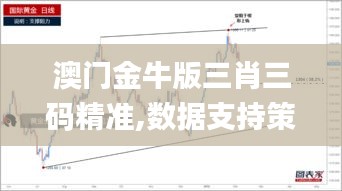 澳門金牛版三肖三碼精準(zhǔn),數(shù)據(jù)支持策略分析_Gold8.696