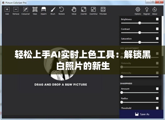 輕松上手AI實(shí)時(shí)上色工具：解鎖黑白照片的新生