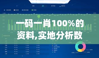 一碼一肖100%的資料,實地分析數(shù)據(jù)應用_VR版10.117
