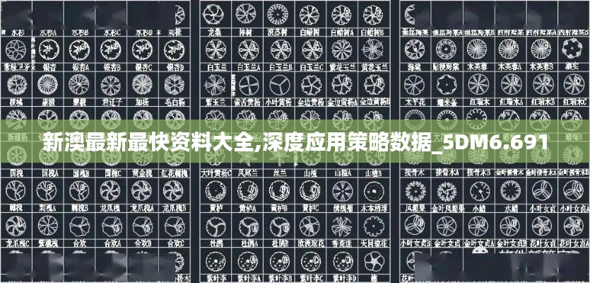 新澳最新最快資料大全,深度應(yīng)用策略數(shù)據(jù)_5DM6.691