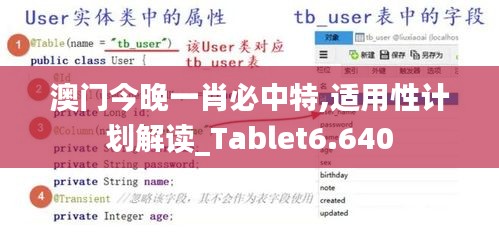 澳門(mén)今晚一肖必中特,適用性計(jì)劃解讀_Tablet6.640