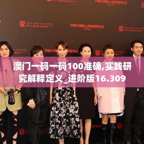 澳門一碼一碼100準確,實踐研究解釋定義_進階版16.309
