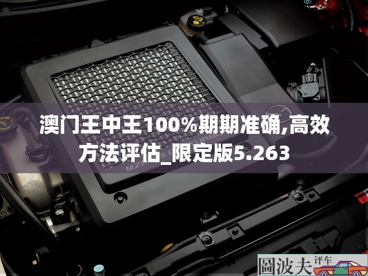 澳門王中王100%期期準(zhǔn)確,高效方法評估_限定版5.263