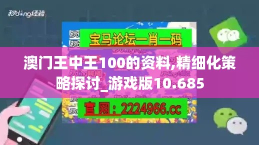 澳門王中王100的資料,精細(xì)化策略探討_游戲版10.685