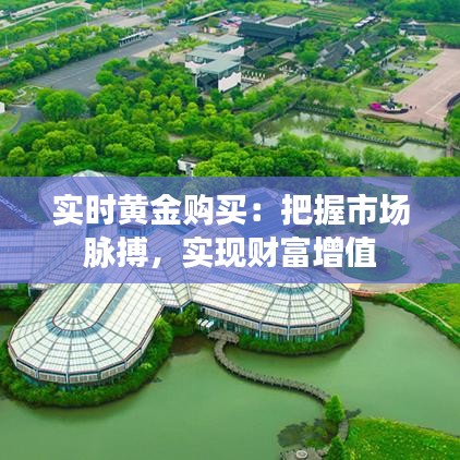 實時黃金購買：把握市場脈搏，實現(xiàn)財富增值