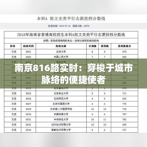 南京816路實(shí)時(shí)：穿梭于城市脈絡(luò)的便捷使者