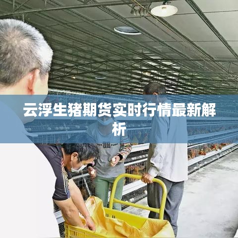 早生貴子 第3頁(yè)