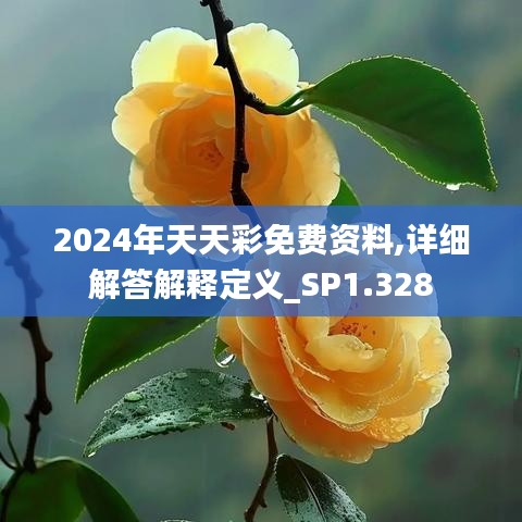 2024年天天彩免費資料,詳細解答解釋定義_SP1.328