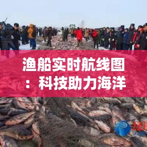 漁船實(shí)時(shí)航線圖：科技助力海洋漁業(yè)管理新篇章