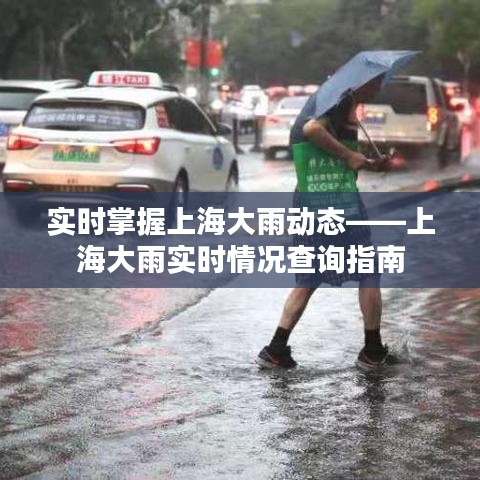 實時掌握上海大雨動態(tài)——上海大雨實時情況查詢指南