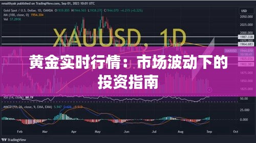 黃金實(shí)時行情：市場波動下的投資指南
