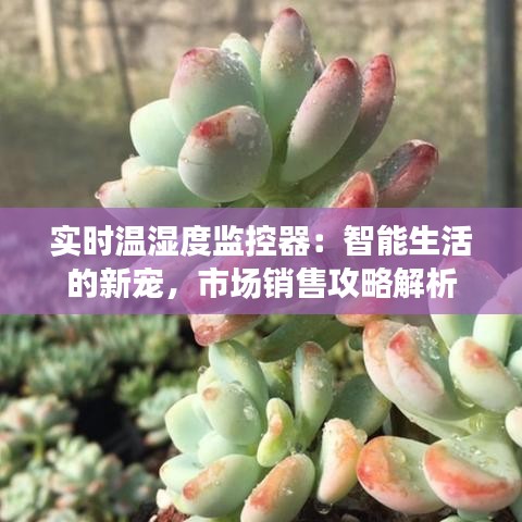 實時溫濕度監(jiān)控器：智能生活的新寵，市場銷售攻略解析