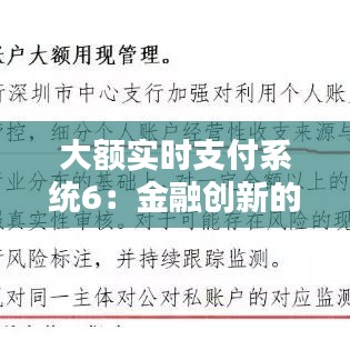 大額實(shí)時(shí)支付系統(tǒng)6:金融創(chuàng)新的未來趨勢(shì)