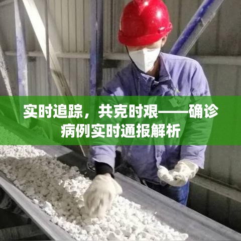 實時追蹤，共克時艱——確診病例實時通報解析