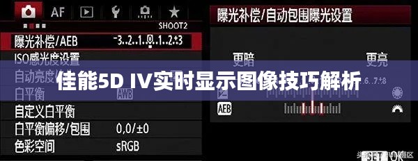 佳能5D IV實時顯示圖像技巧解析