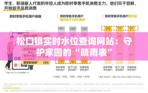 松口鎮(zhèn)實(shí)時(shí)水位查詢(xún)網(wǎng)站：守護(hù)家園的“晴雨表”