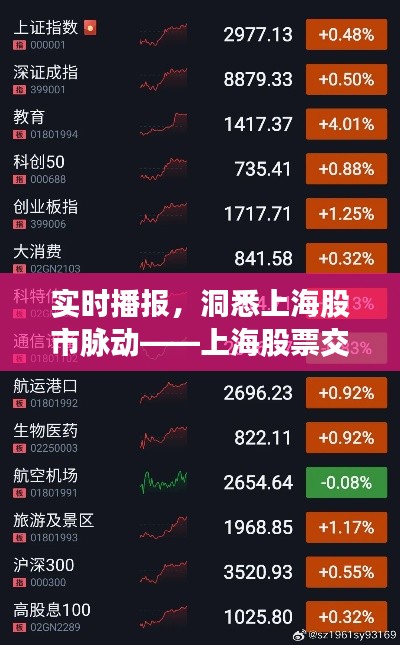 實(shí)時(shí)播報(bào)，洞悉上海股市脈動(dòng)——上海股票交易實(shí)時(shí)動(dòng)態(tài)解析