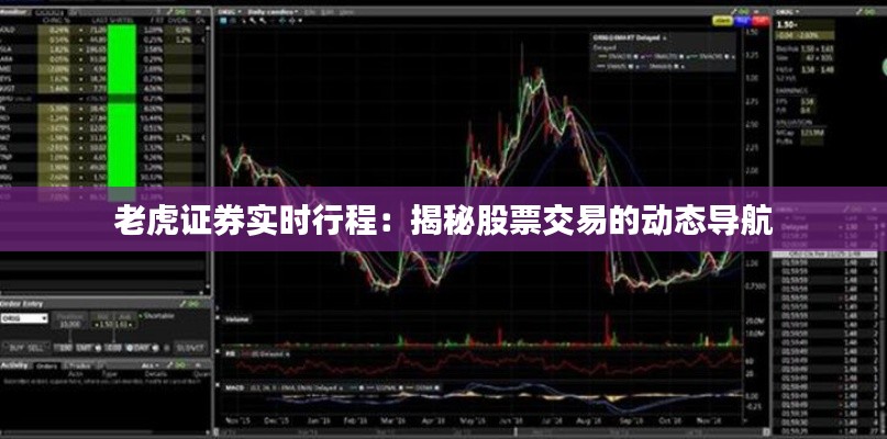 老虎證券實(shí)時(shí)行程：揭秘股票交易的動(dòng)態(tài)導(dǎo)航