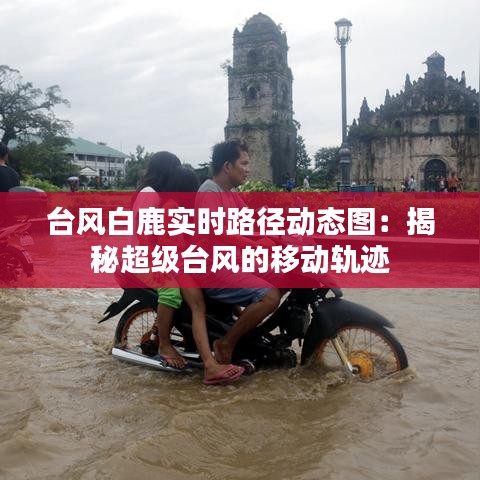 臺風(fēng)白鹿實時路徑動態(tài)圖：揭秘超級臺風(fēng)的移動軌跡