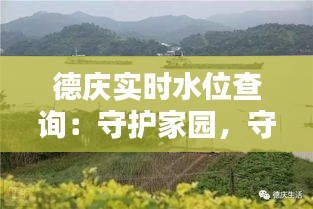 德慶實時水位查詢：守護(hù)家園，守護(hù)安全