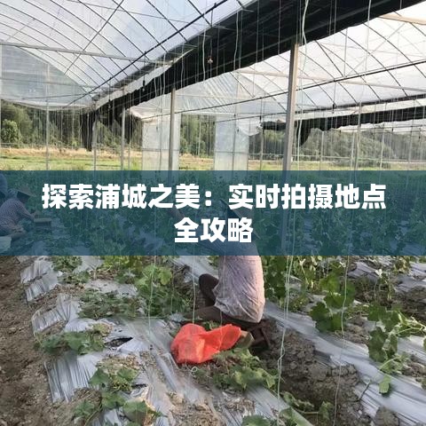 探索浦城之美：實(shí)時(shí)拍攝地點(diǎn)全攻略