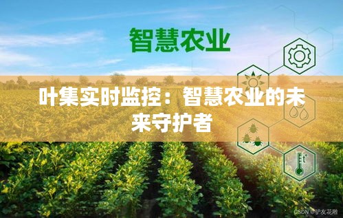 葉集實時監(jiān)控：智慧農(nóng)業(yè)的未來守護者