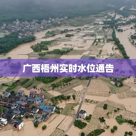 廣西梧州實(shí)時(shí)水位通告