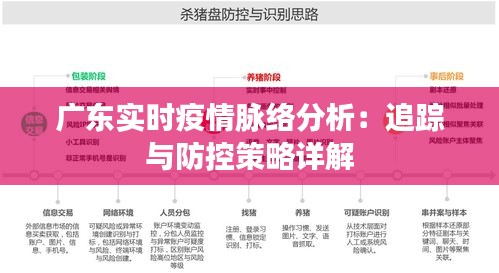 廣東實時疫情脈絡分析:追蹤與防控策略詳解