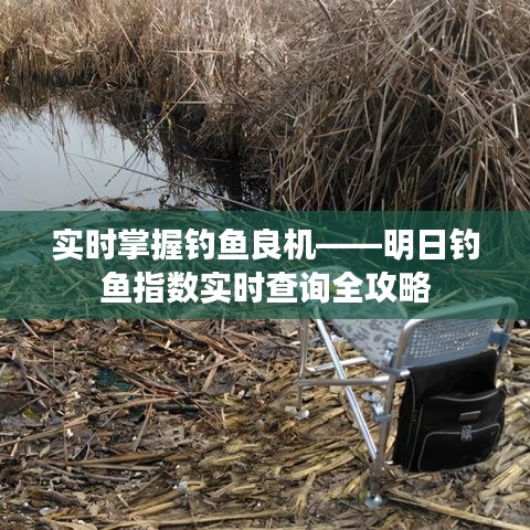 實時掌握釣魚良機——明日釣魚指數實時查詢全攻略