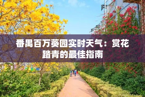 番禺百萬葵園實(shí)時(shí)天氣：賞花踏青的最佳指南
