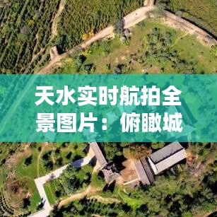 黑天摸地 第3頁(yè)